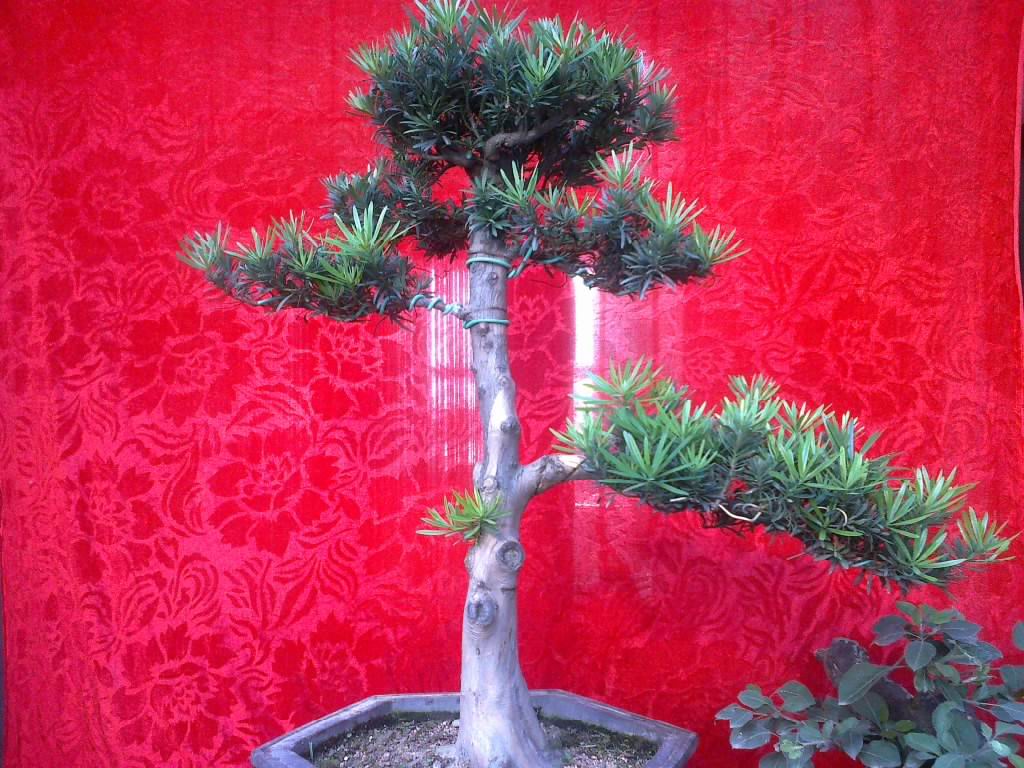 201208241618.jpg