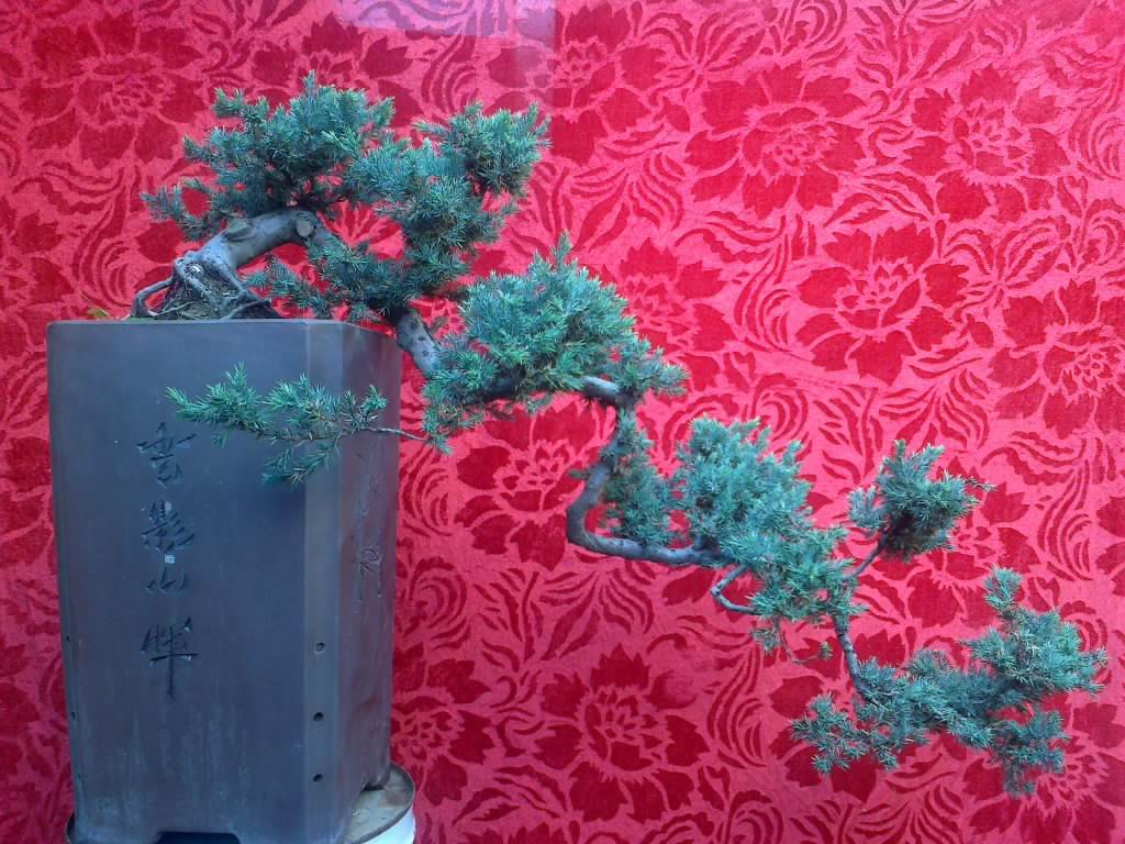 201208241627.jpg