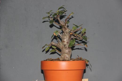 Ƭ0808 116.jpg