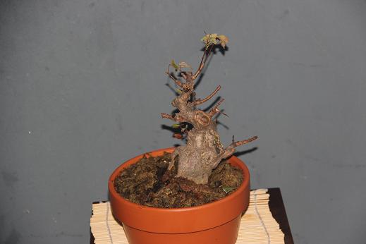 Ƭ0808 115.jpg