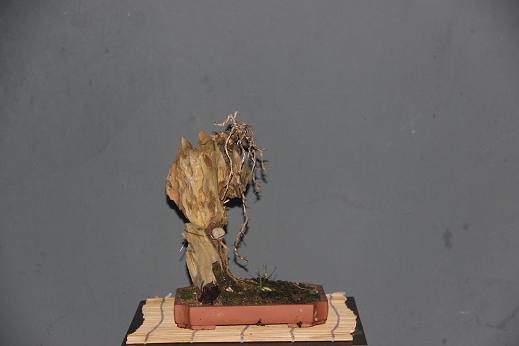 Ƭ0808 120.jpg