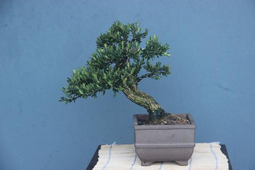 Ƭ0808 121.jpg
