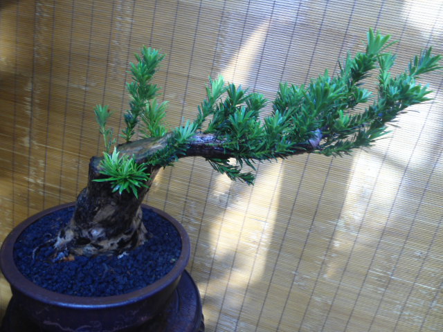 DSC03836.JPG