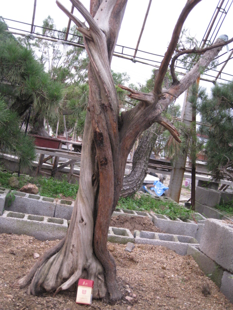 IMG_5614.JPG
