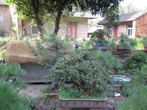 IMG_4635.jpg