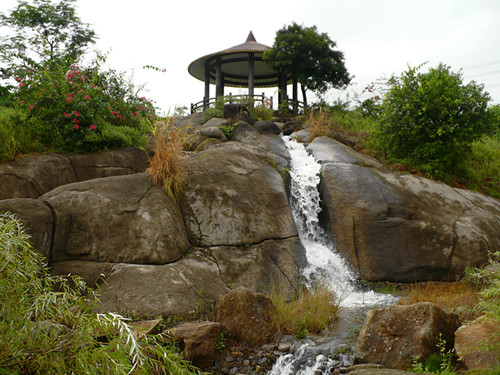 P1000098_.jpg