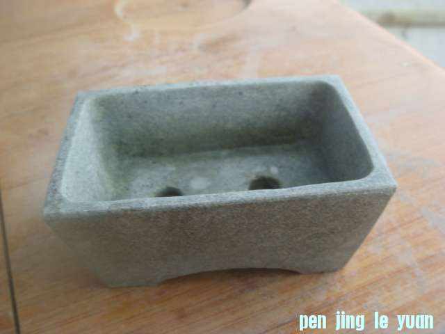 DSC04238.JPG