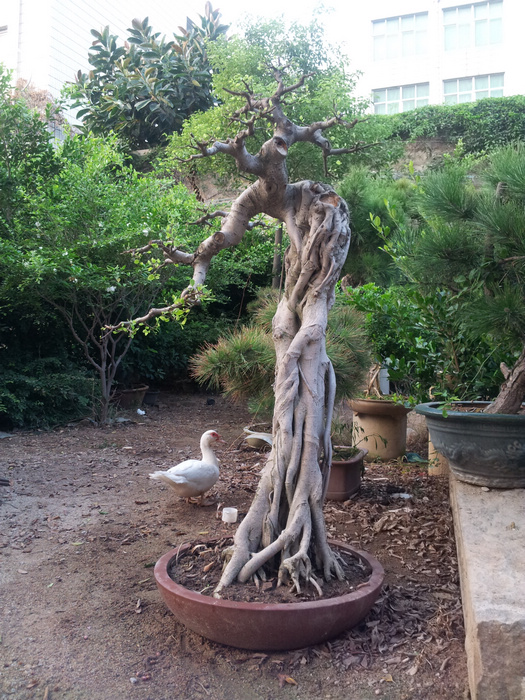 20120809_061704.jpg