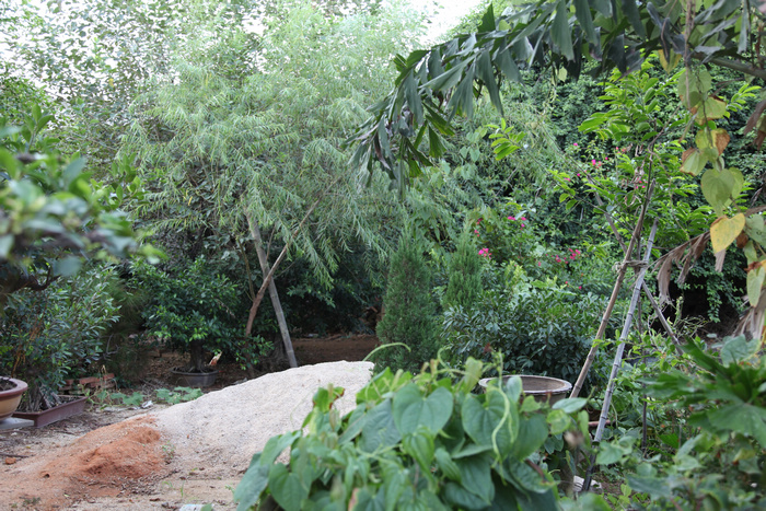 Ƭ 039.jpg