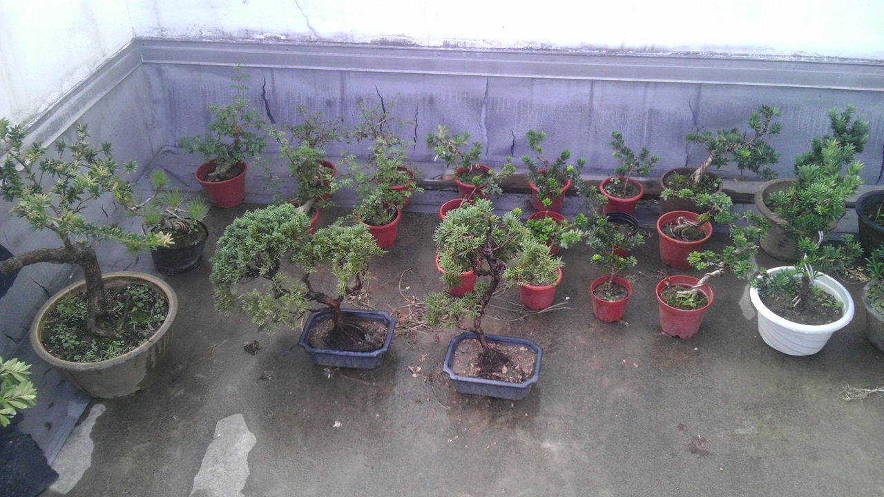 IMAG0019-1.jpg