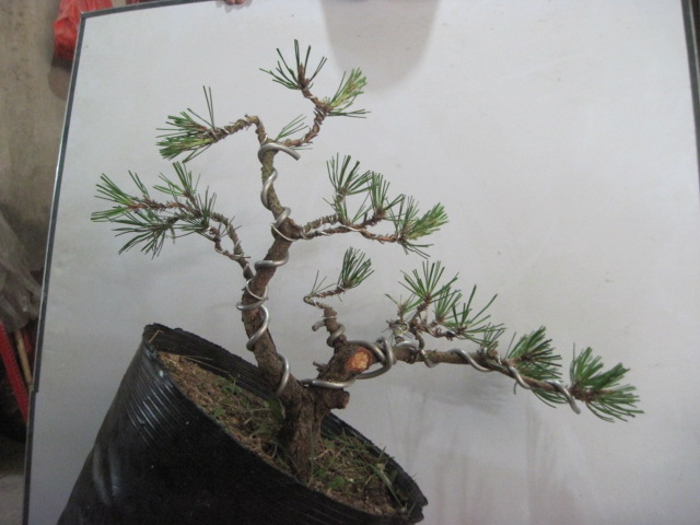 2012-08-28 007.jpg