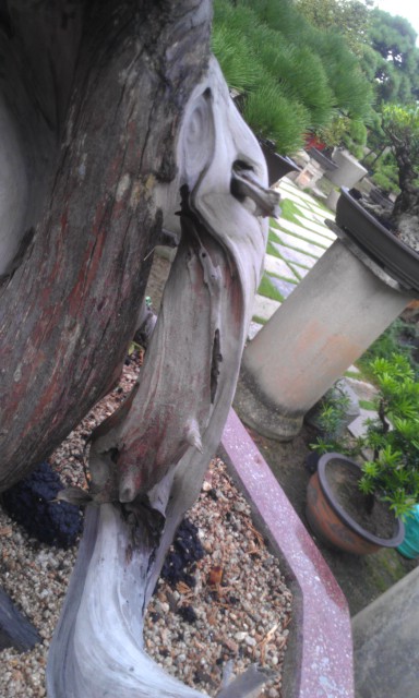 IMAG0149.jpg
