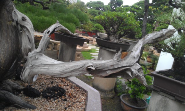 IMAG0151.jpg