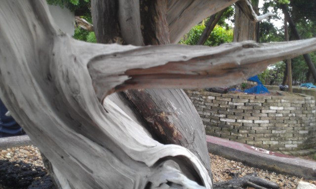 IMAG0158.jpg