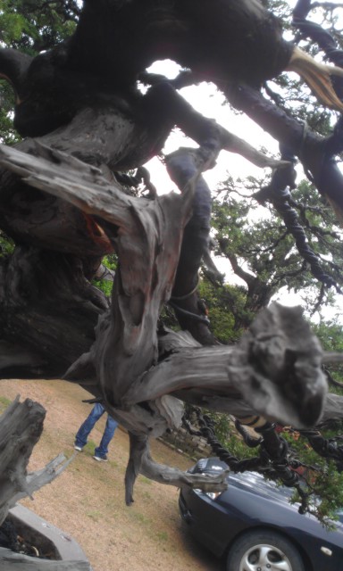 IMAG0159.jpg