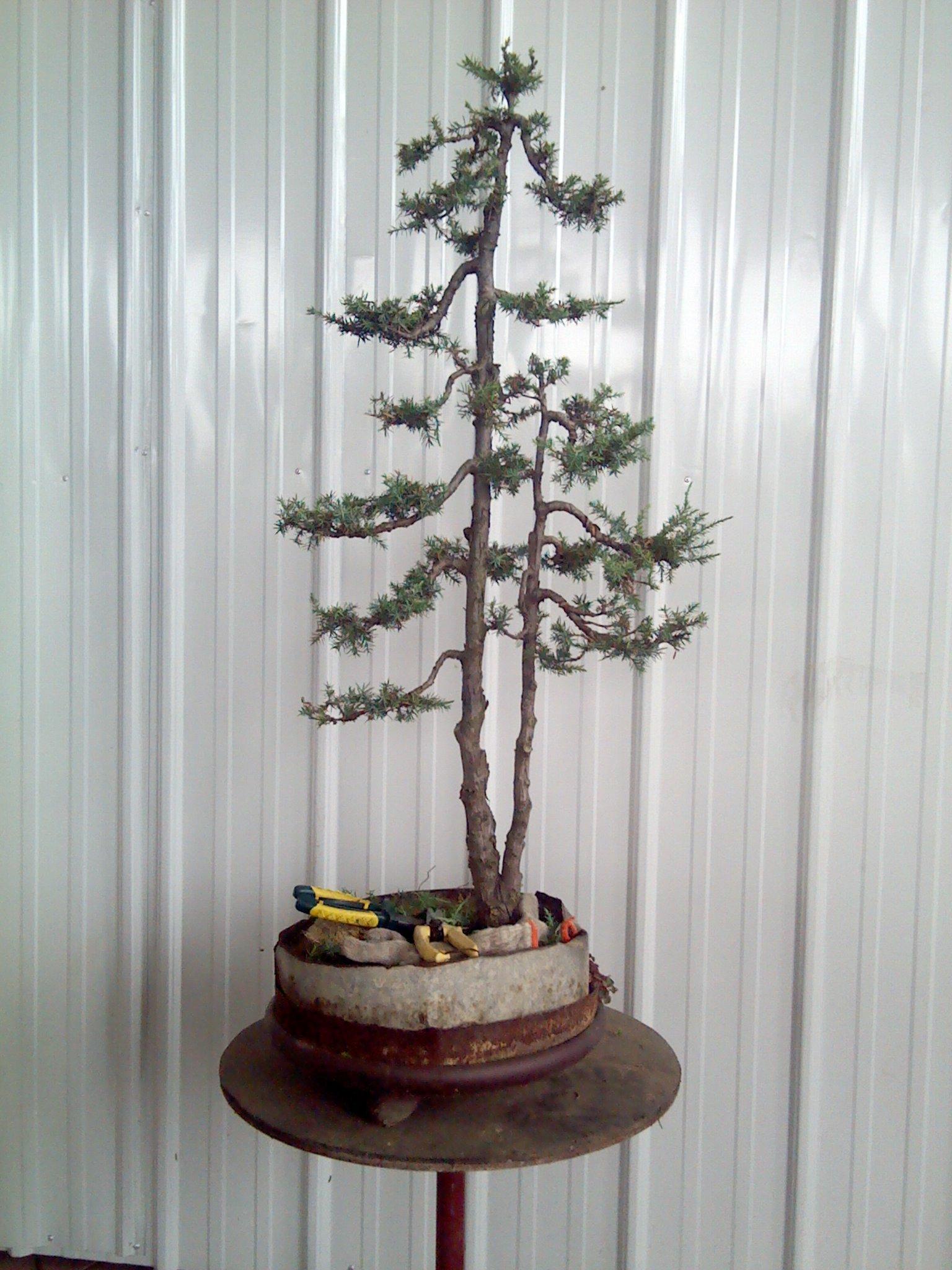 2012-08-26 10.29.12.JPG