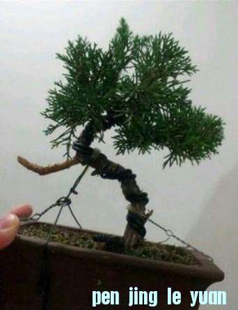 ƴͼ2012_06_13_09_30_32-1.jpg