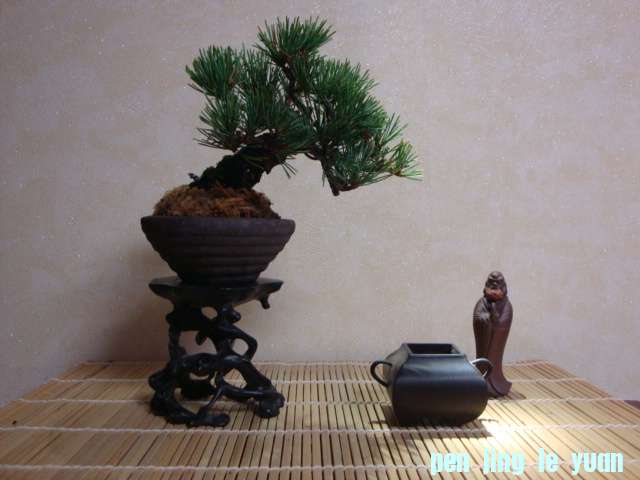 DSC00044.JPG