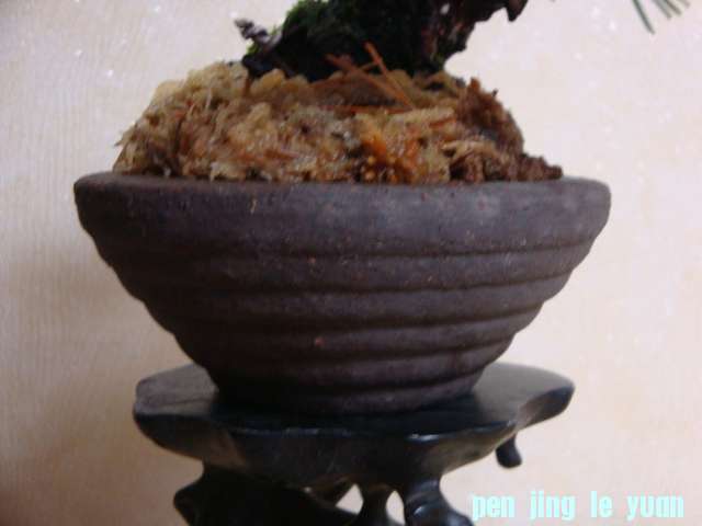 DSC00046.JPG