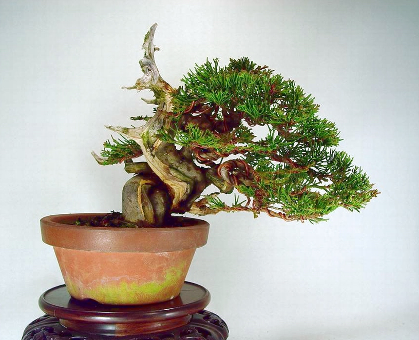 DSC04200.jpg