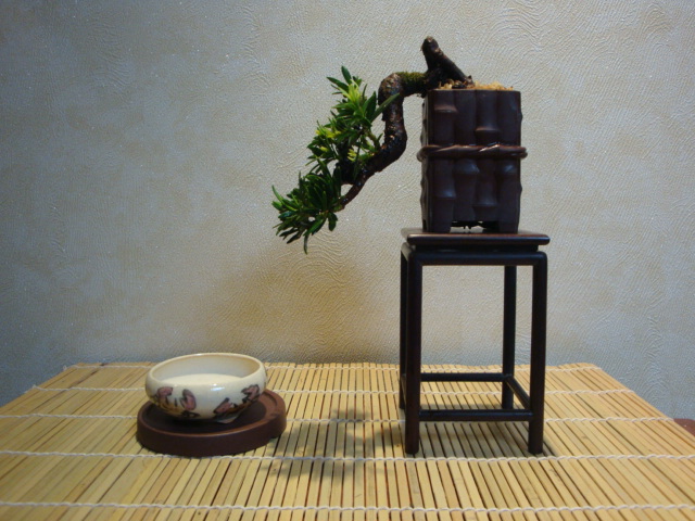 DSC00049.JPG