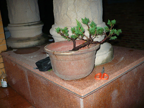 P1030722_.jpg