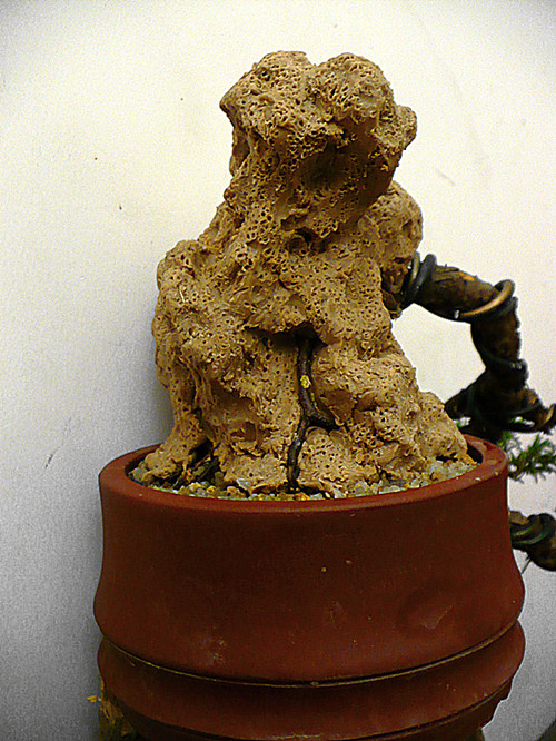 P1030741_.jpg