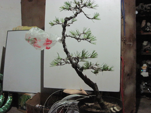 2012-08-30 005.jpg