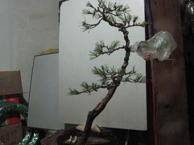 2012-08-30 006.jpg