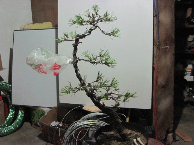 2012-08-30 008.jpg