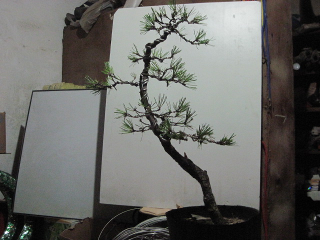2012-08-30 012.jpg