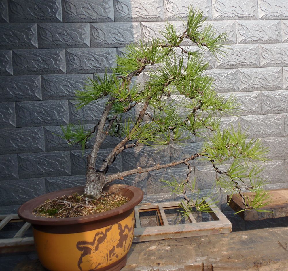 P9010417.JPG