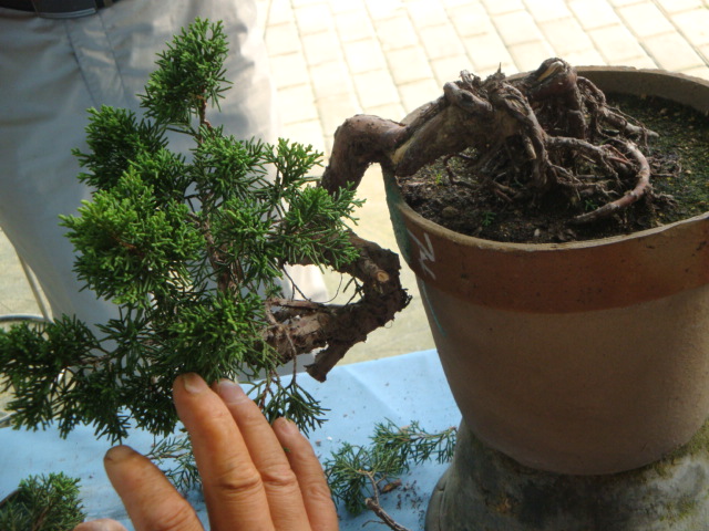 DSC00173.JPG