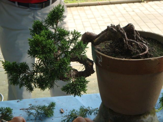 DSC00174.JPG