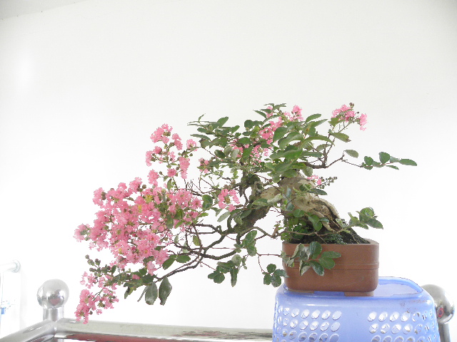 P9021842.JPG