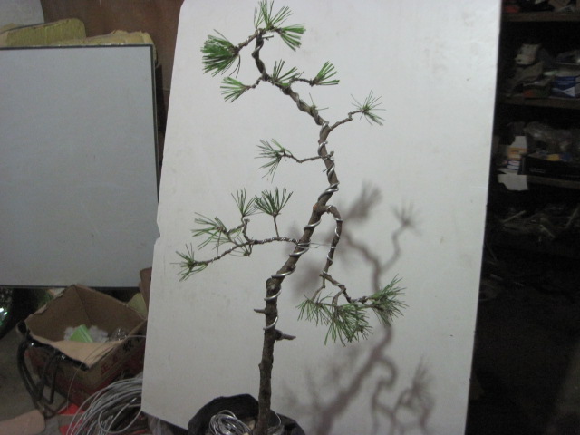 2012-09-021 002.jpg