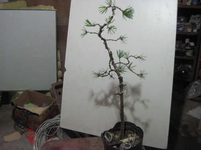 2012-09-021 003.jpg