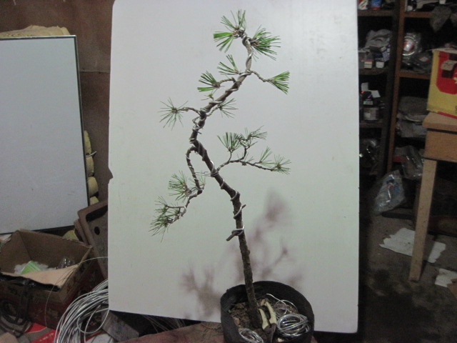 2012-09-021 004.jpg