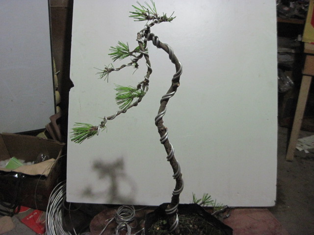 2012-09-021 005.jpg