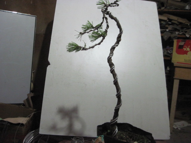 2012-09-021 006.jpg