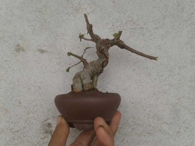 P4300249.JPG