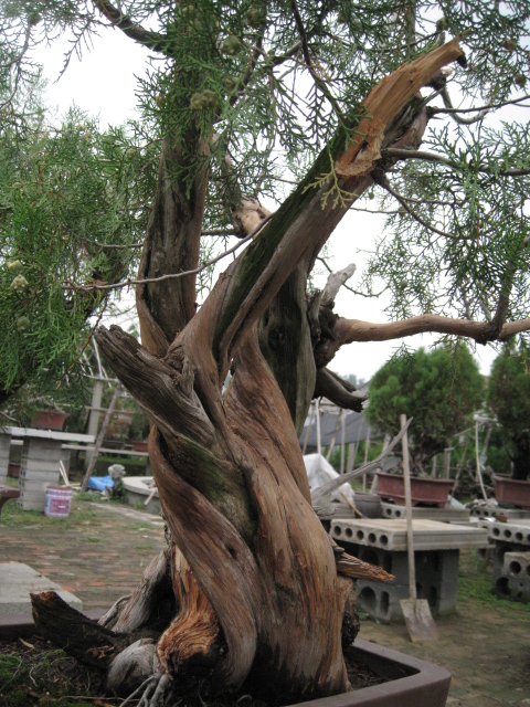 IMG_5745.JPG
