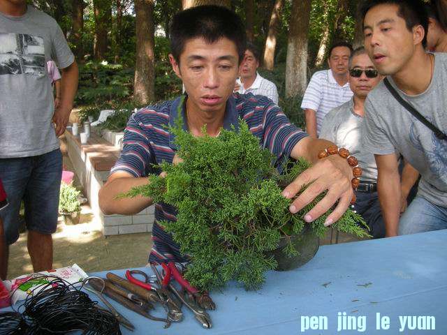 С 辰԰ 020.jpg