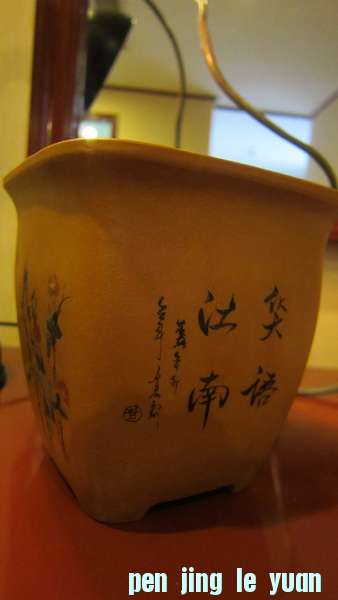 IMG_2737_С.JPG