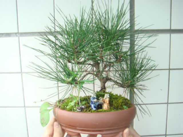 DSC03282.JPG
