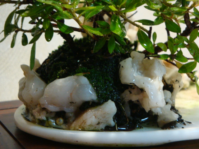 DSC00058.JPG