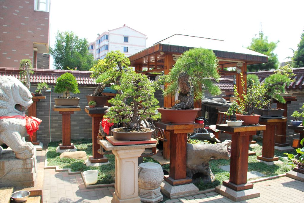 2012 0831 (16).jpg