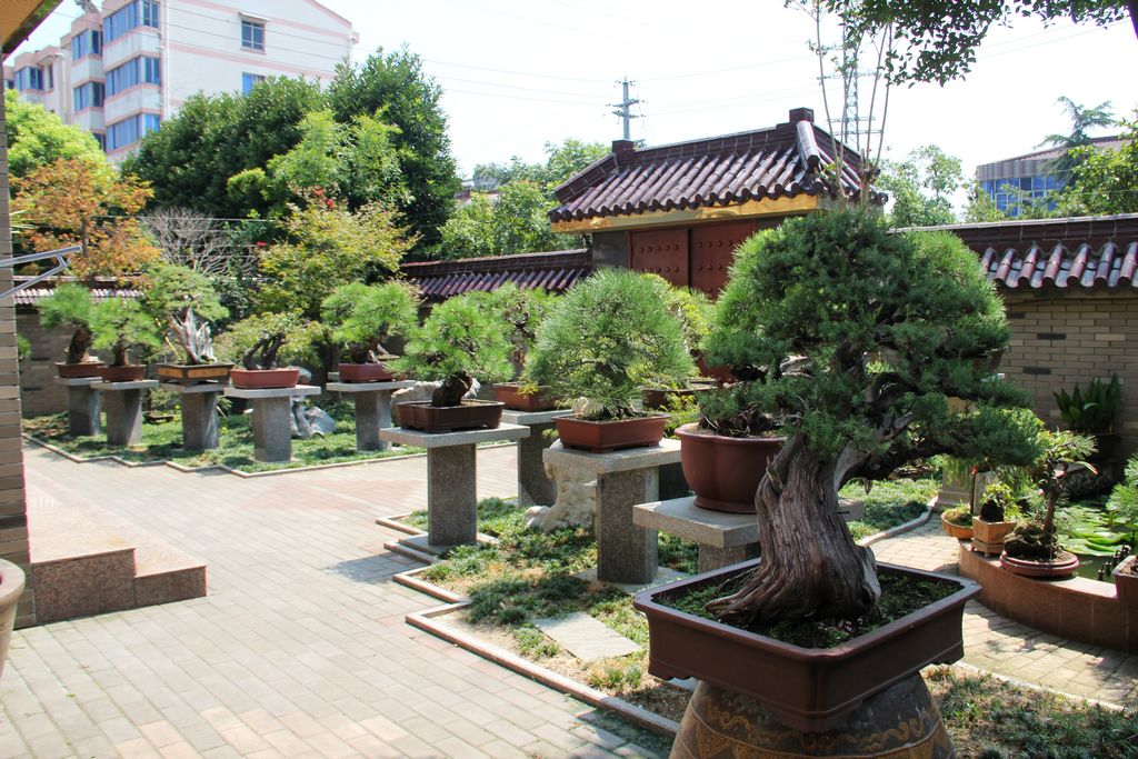 2012 0831 (21).jpg