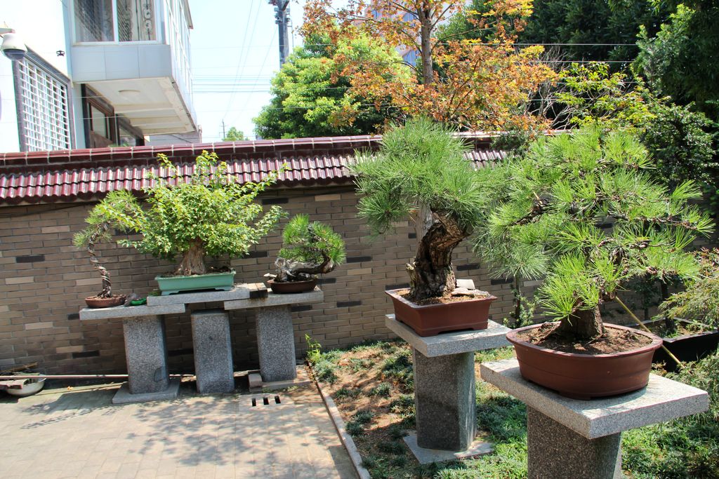 2012 0831 (22).jpg