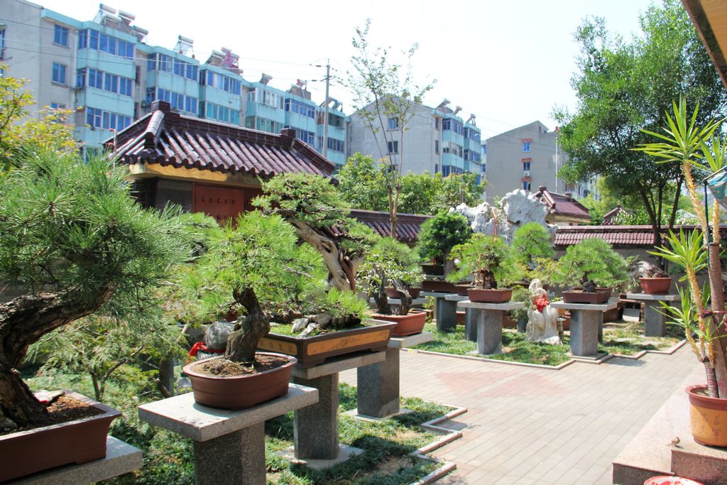 2012 0831 (23).jpg